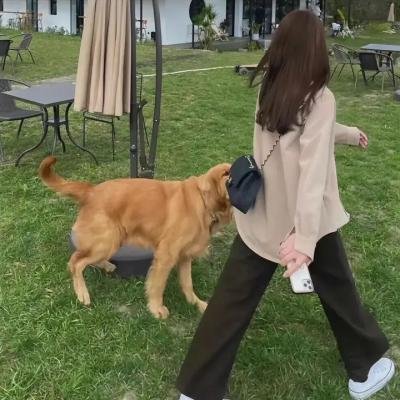 越野花香